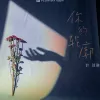 你的轮廓歌词 - 叶琼琳