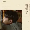 有一点动心 歌词 - 张信哲 /任素汐